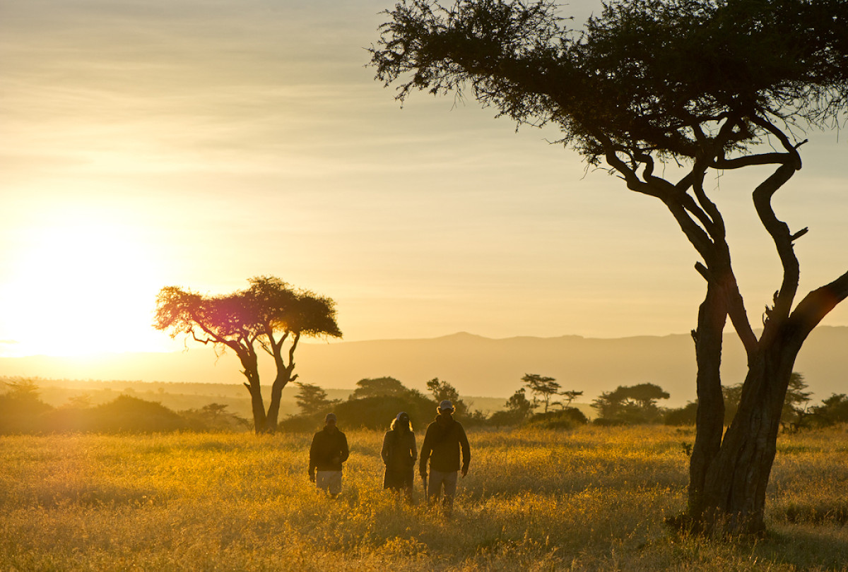     Foto:  El Karama Lodge 