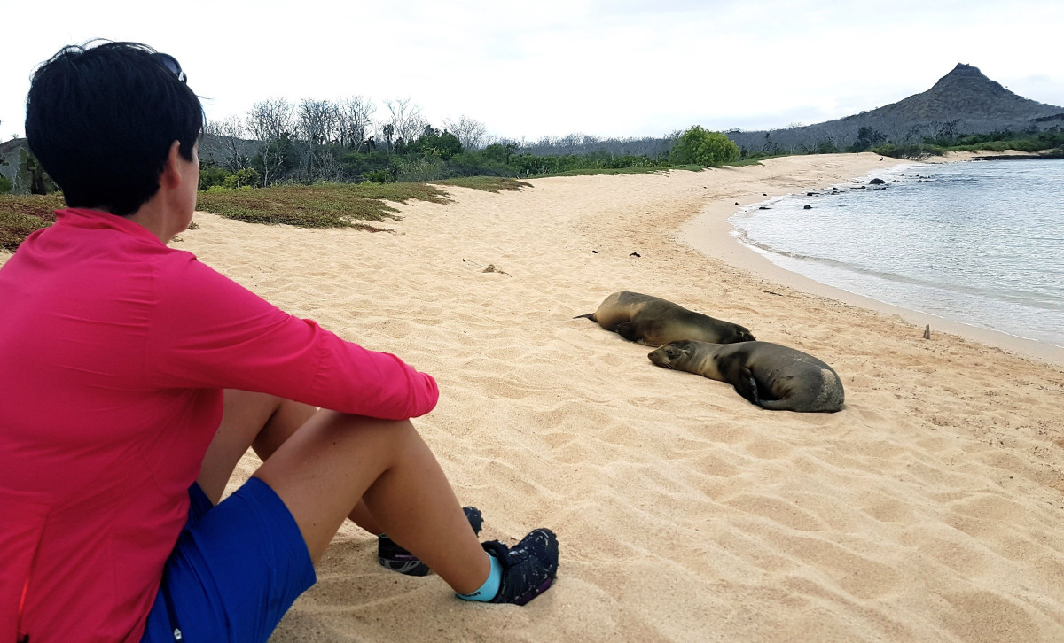 Jeg og sjøløvene som chiller'n på stranda (Galapagos)