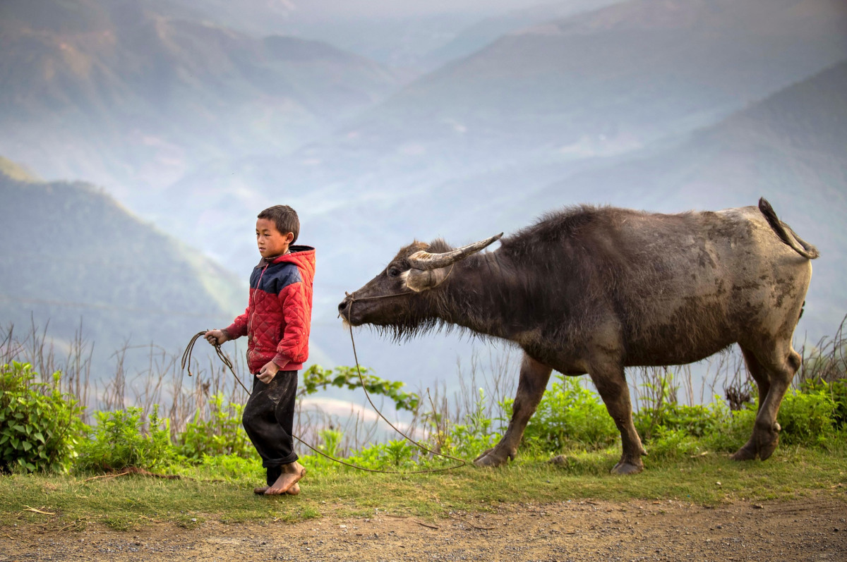 Ha Giang