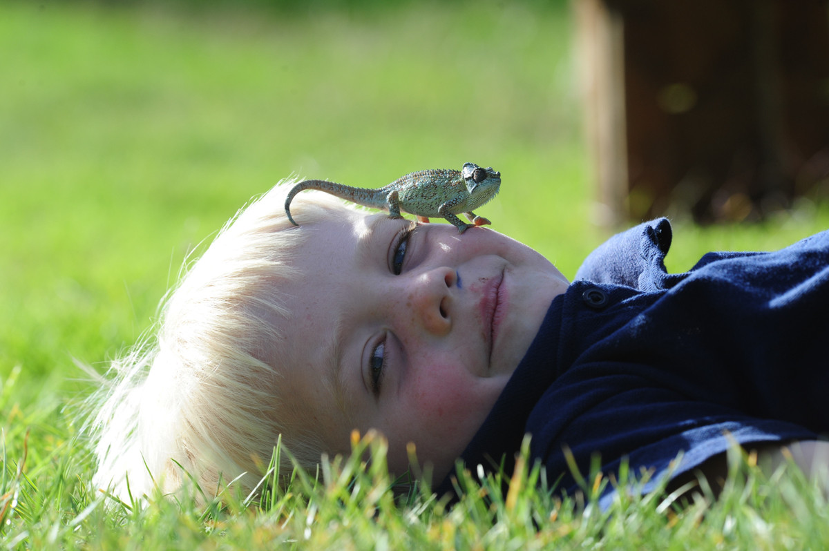 Opplevelser for livet   |    Foto:  Karisia Walking Safari 