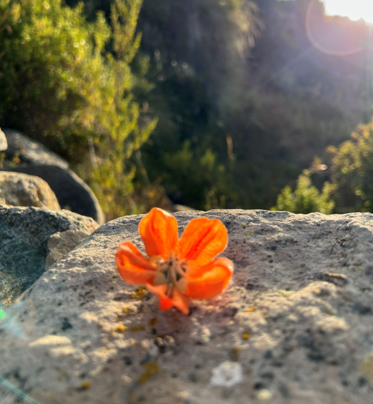      Foto:  Amantica Lodge 