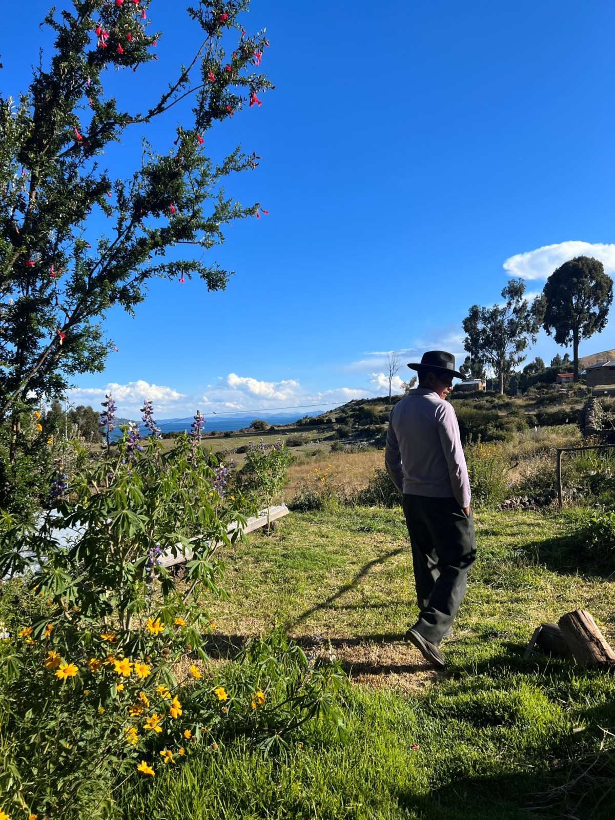     Foto:  Amantica Lodge 