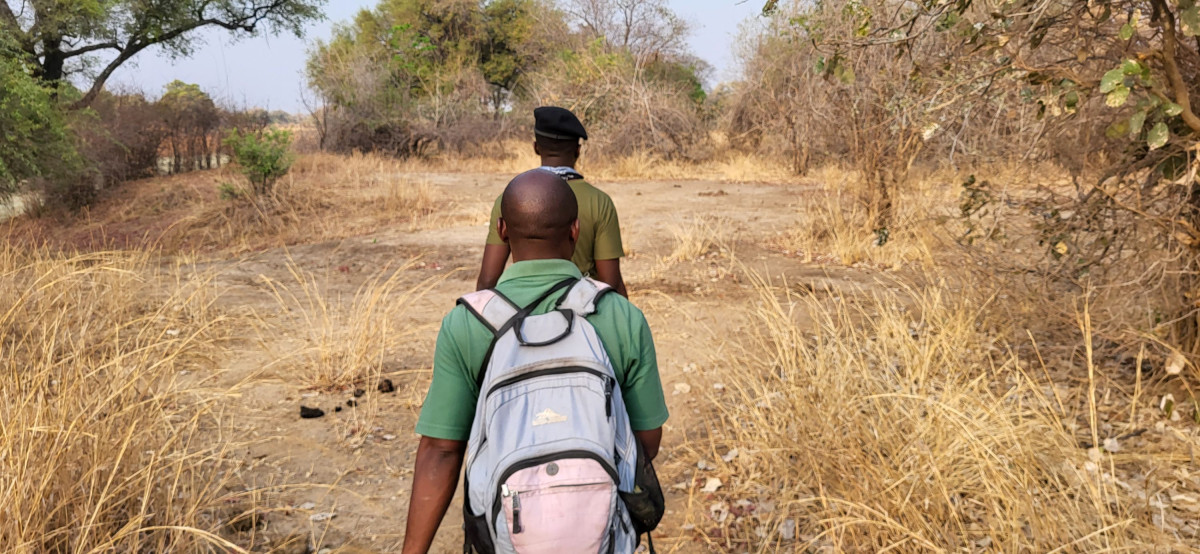 Vandresafari   |    Foto:  Wenche - La'mme 