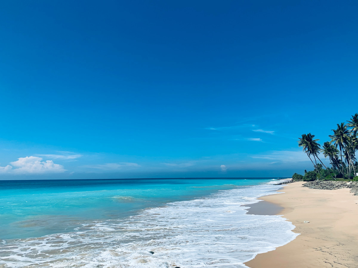     Foto:  Bhanuka Gamage, Unsplash 