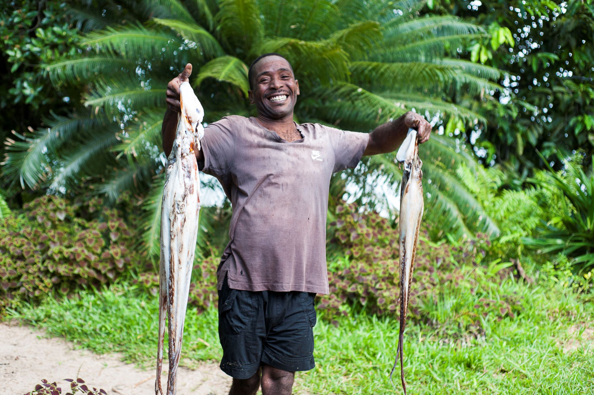     Foto:  Masoala Forest Lodge 