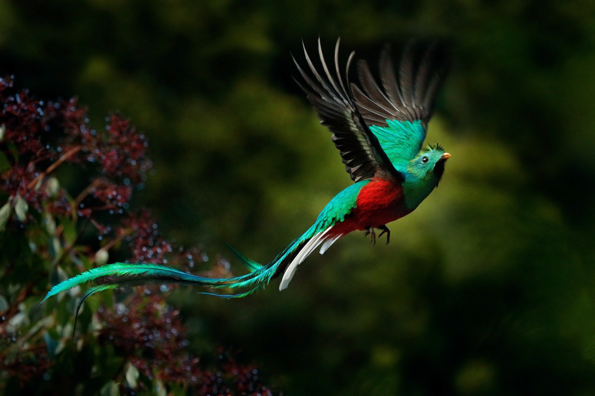      Foto:  Ondrej Prosicky - Istock 