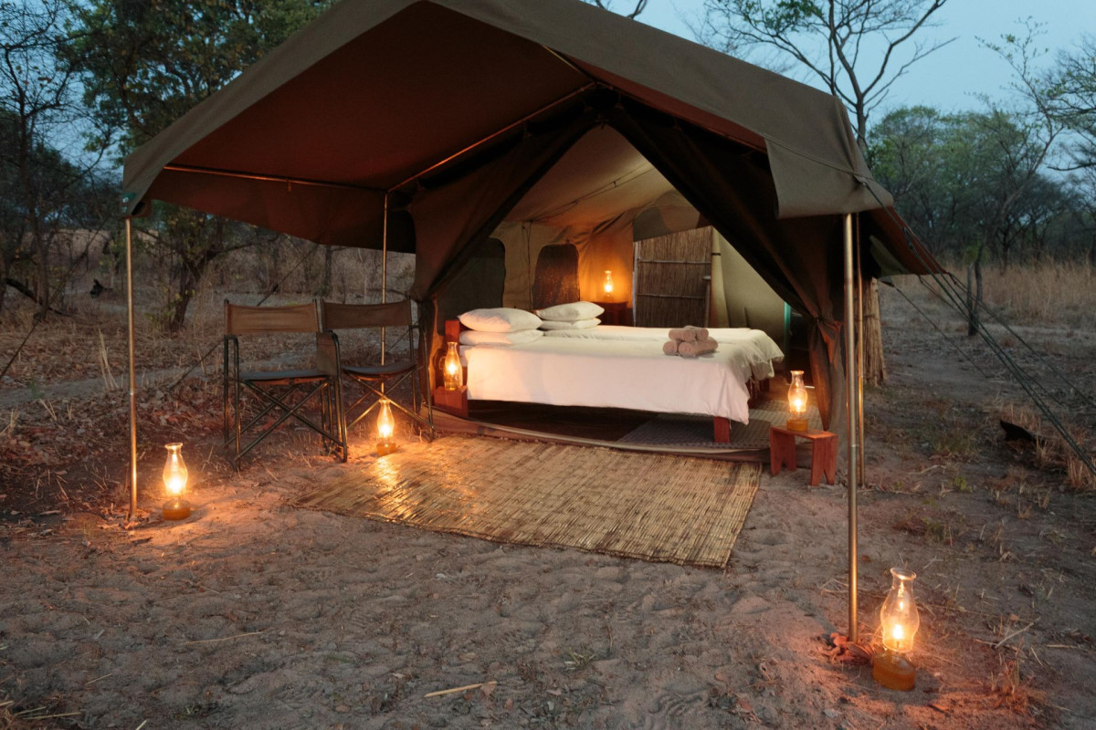 Nkonzi  |    Foto:  Gavin Opie Safaris 