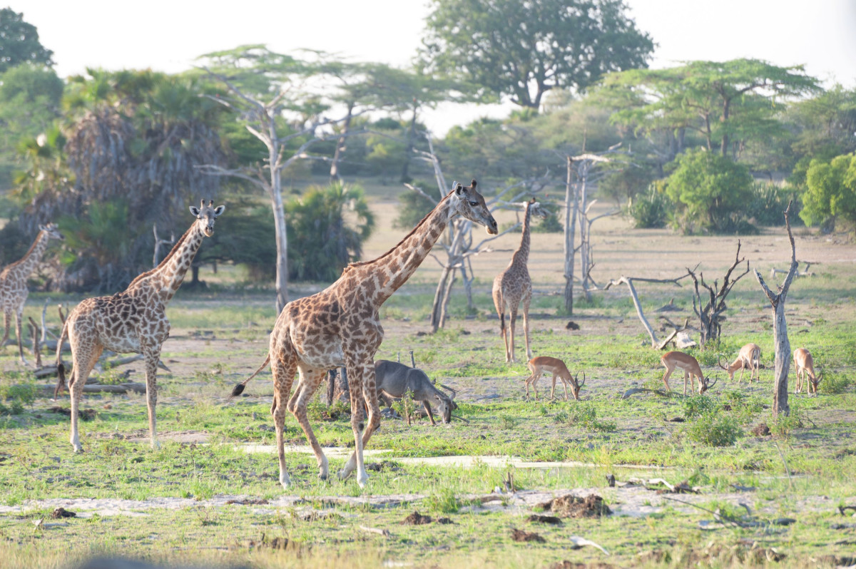 Noen av innbyggerne på Makubi