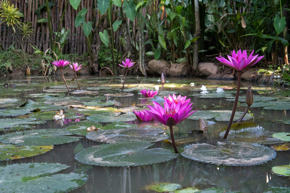      Foto:  Hans Peter Traunig, Unsplash 