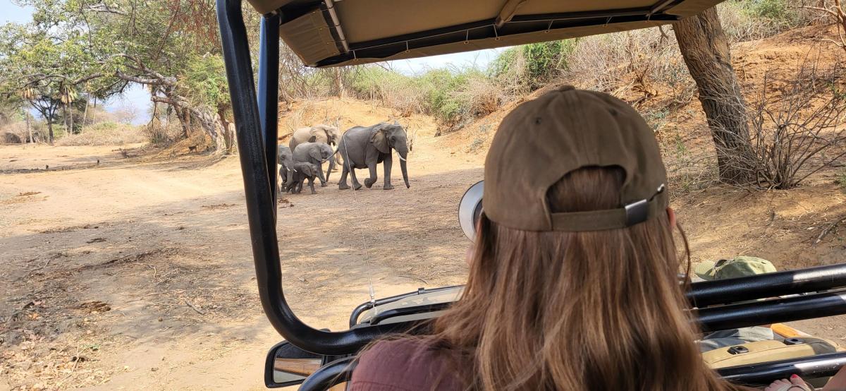 Safari i Lower Zambezi nasjonalpark   |    Foto:  Wenche - La'mme 
