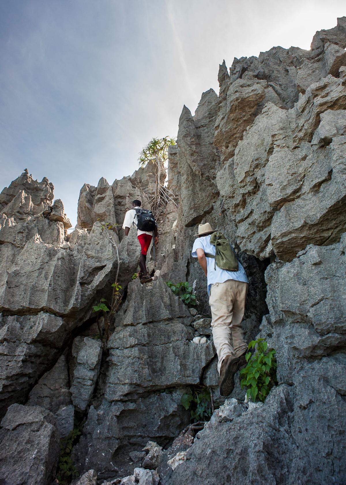 Tsingy-klatring  |    Foto:  Iharana Bush Camp 