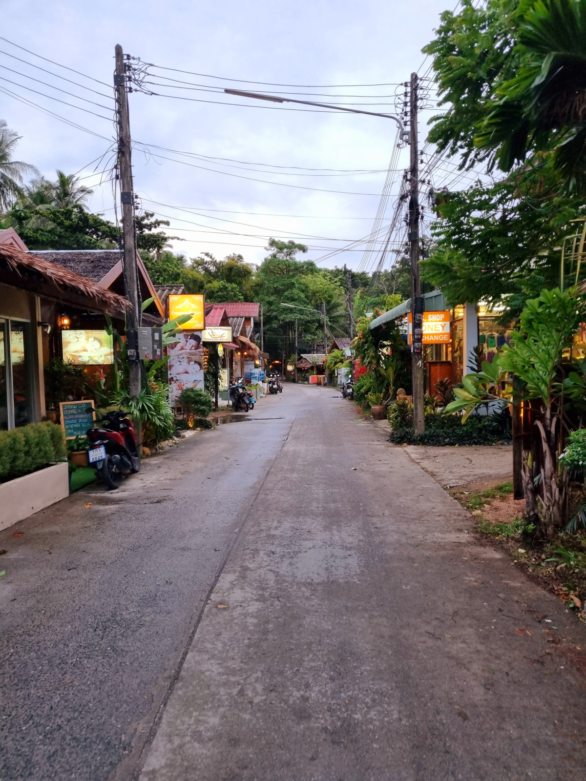      Foto:  Thailand | La'mme skreddersyr 