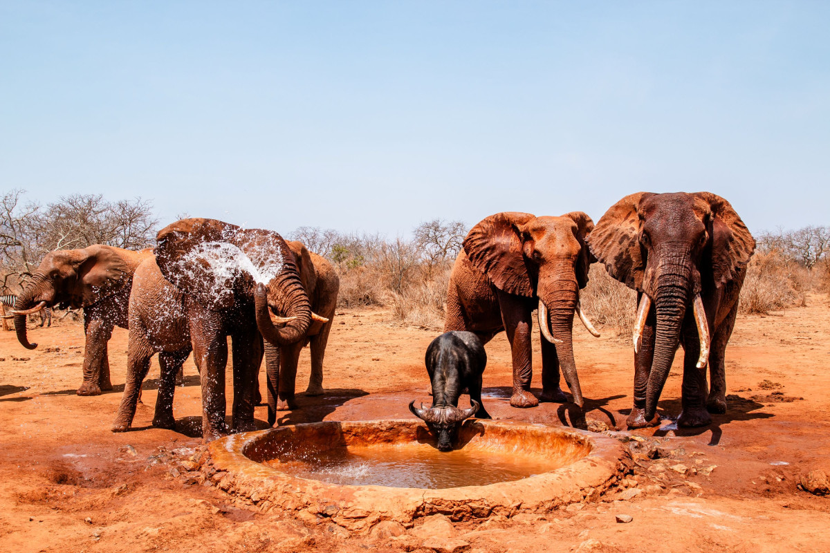 Vannhul ved Kipalo Hills  |    Foto:  Secluded Africa 