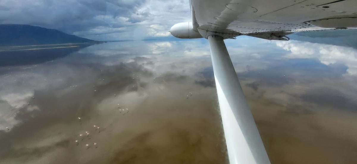 Flytur over Lake Natron - helt magisk