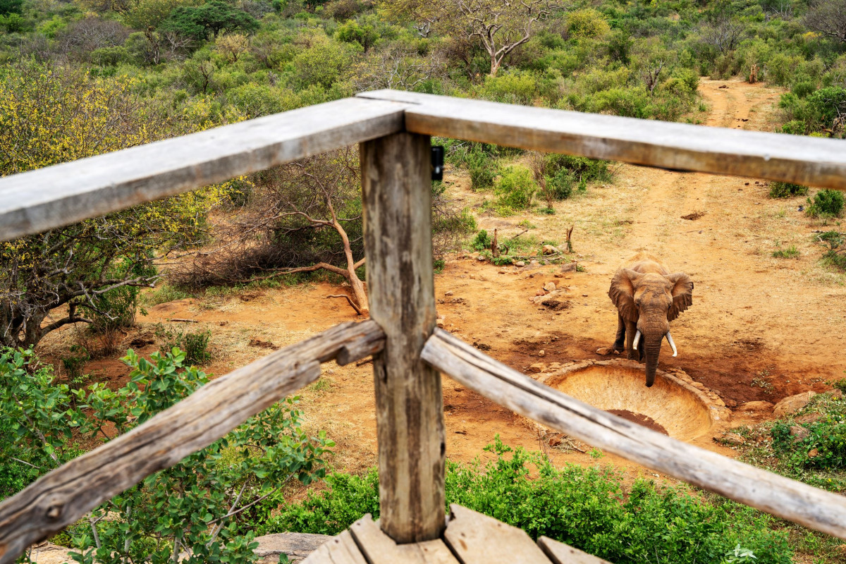 Vannhul ved Kipalo Hills  |    Foto:  Secluded Africa 