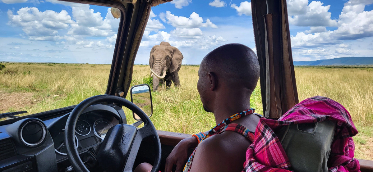 Masai Mara i mars - lite folk, mange dyr