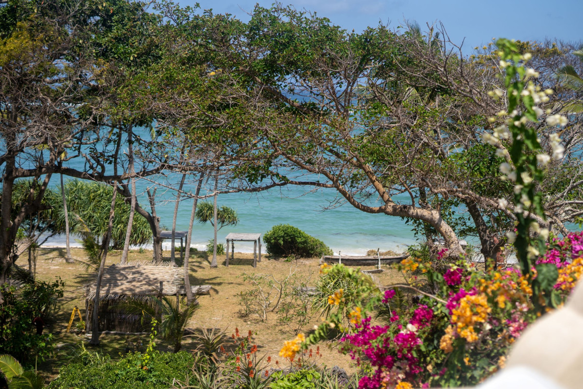 Utsikt ned mot stranden fra Cardamom House  |    Foto:  Secluded Africa 