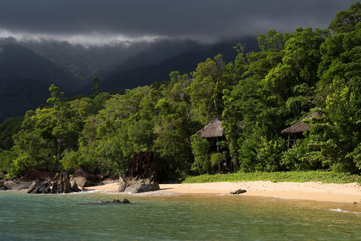     Foto:  Masoala Forest Lodge 