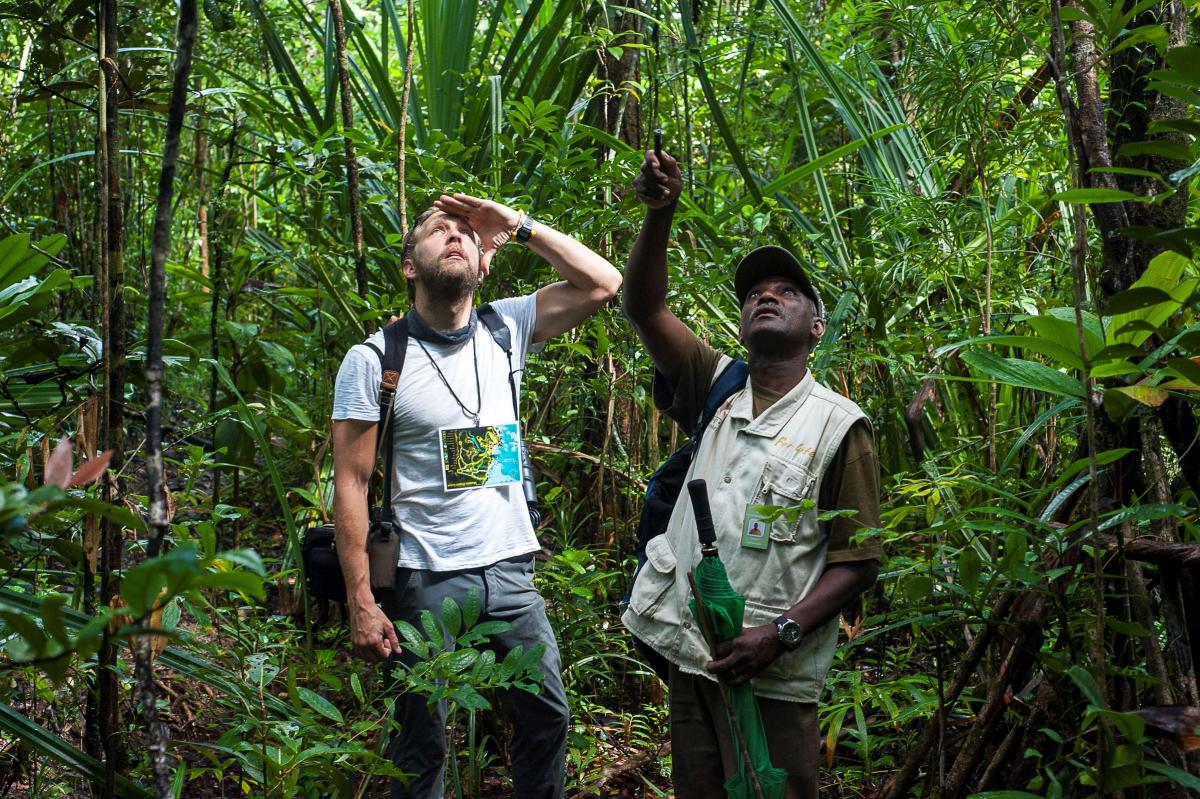     Foto:  Masoala Forest Lodge 