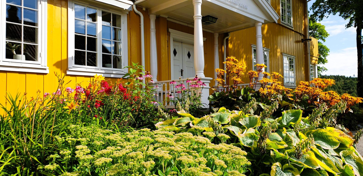 En oase - sommer, vinter, høst og vår