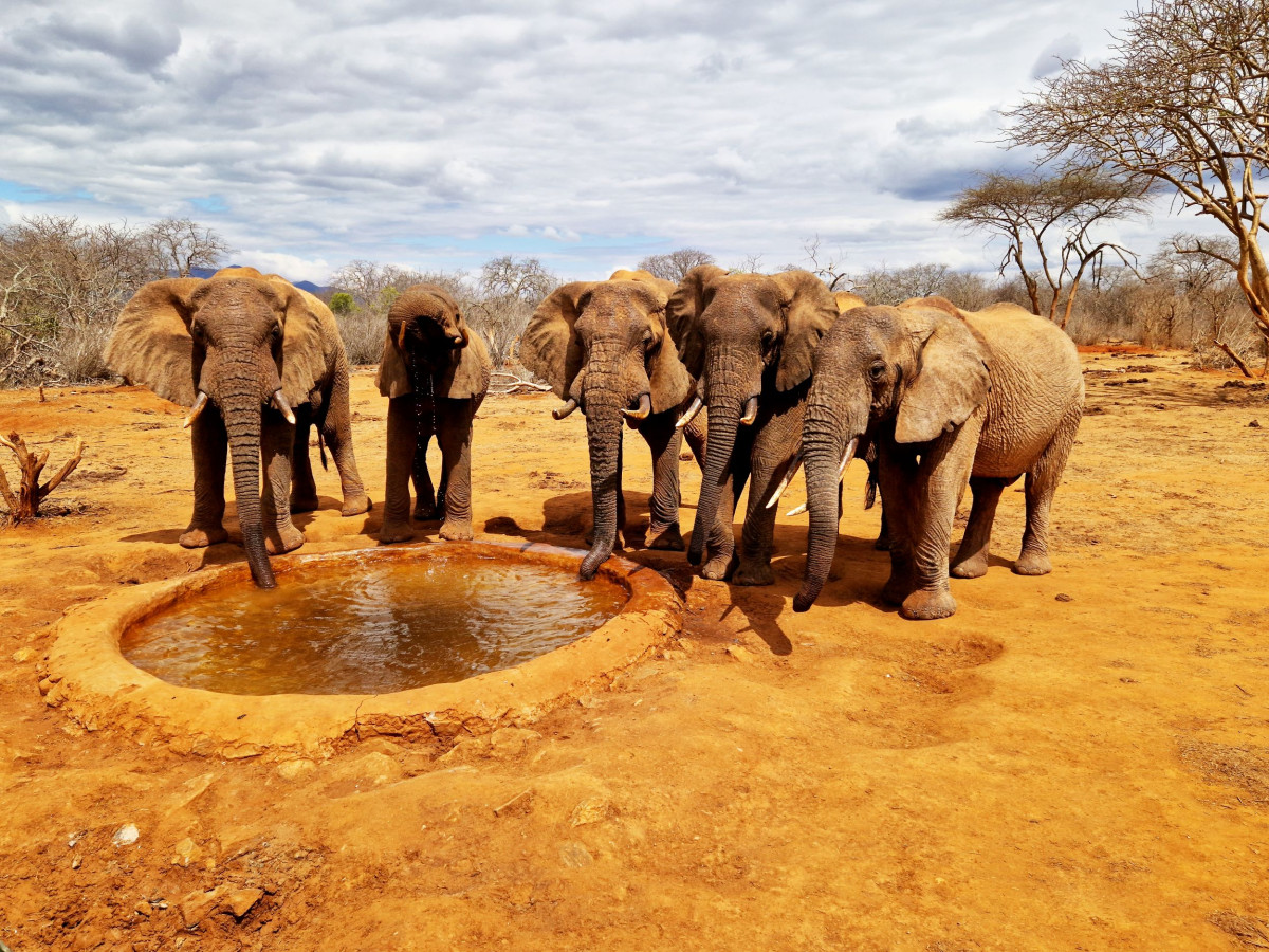 Vannhull ved Kipalo Hills   |    Foto:  Secluded Africa 