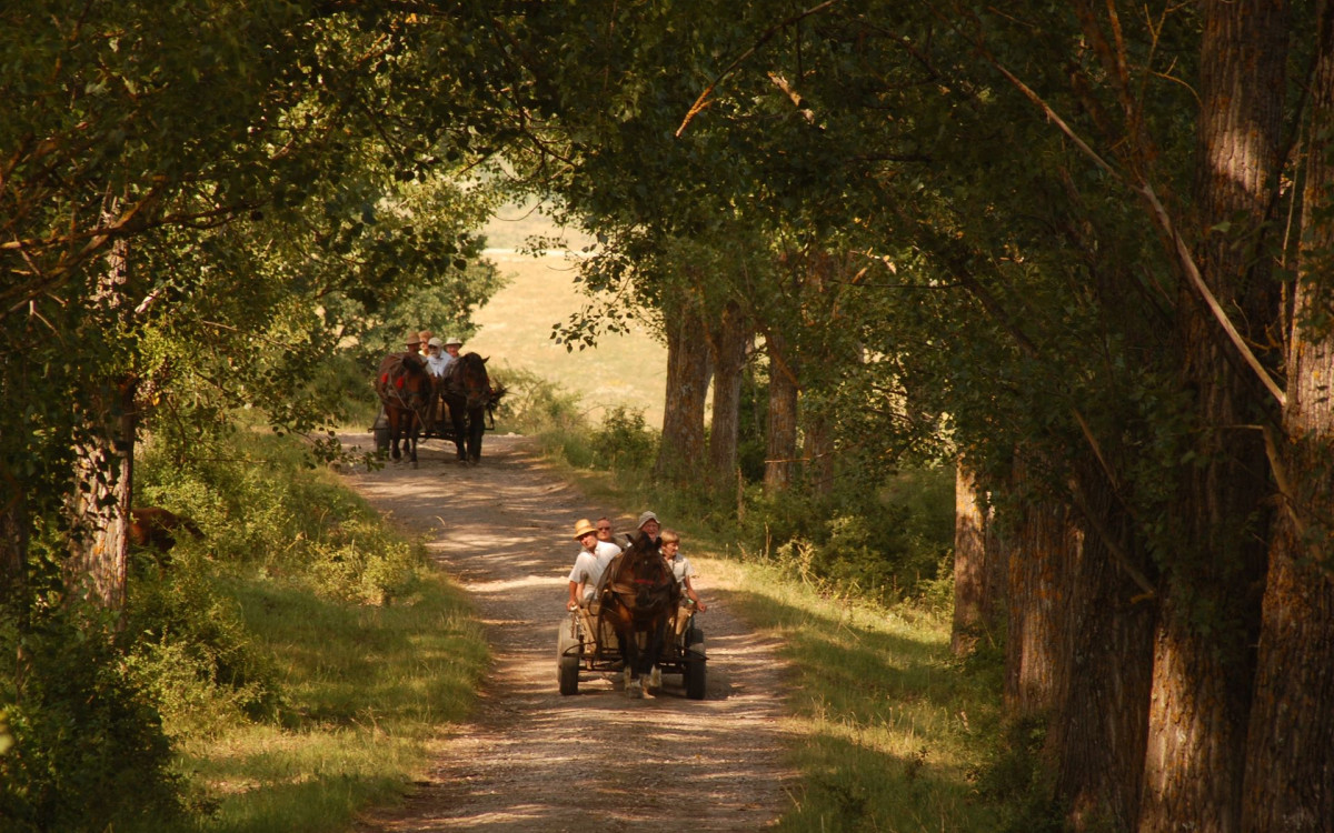 La'mme har publisert sin første Testreise