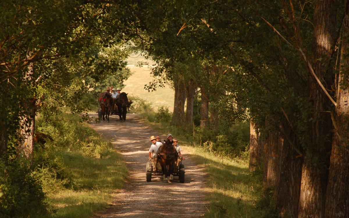 La'mme har publisert sin første Testreise