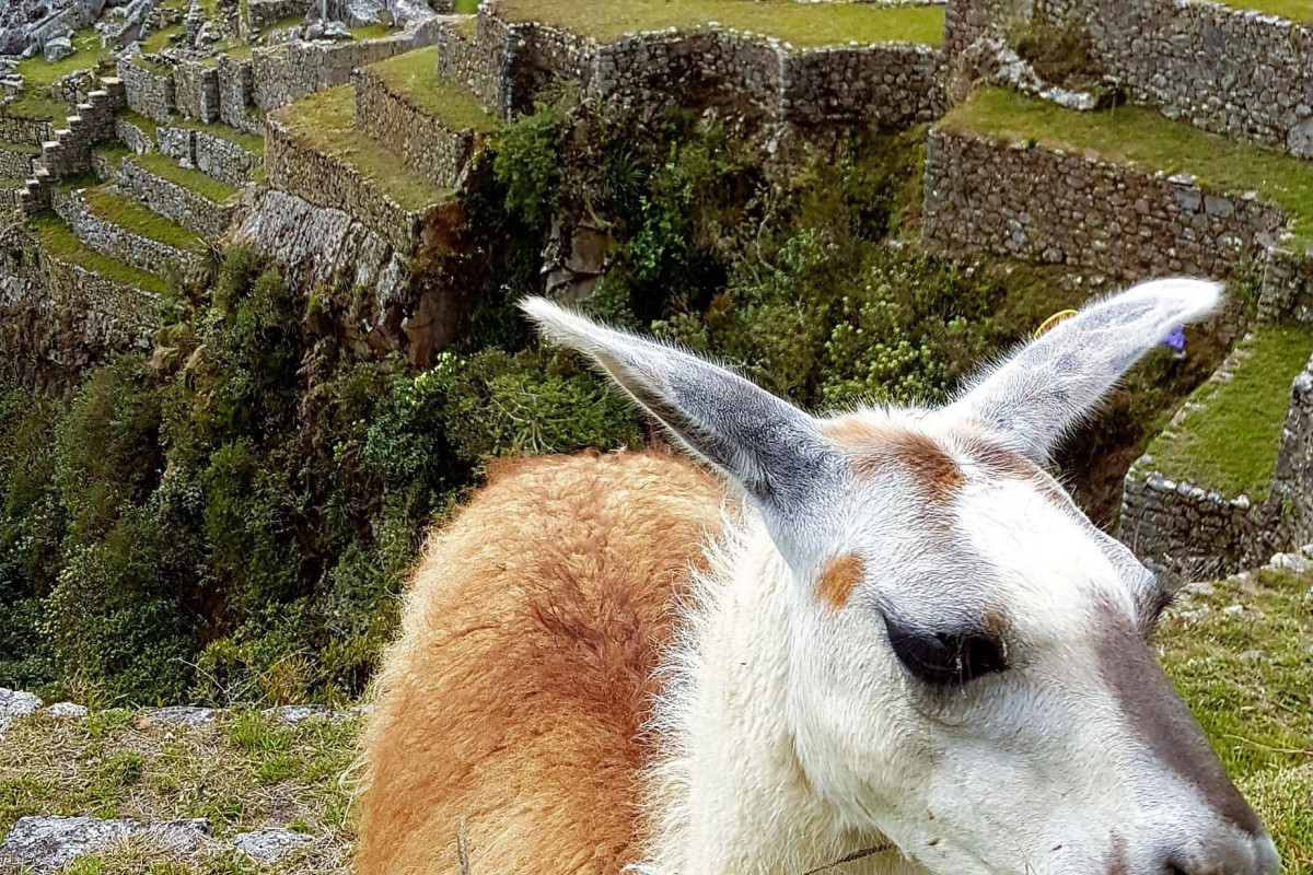 Autentiske Peru / 7 dager