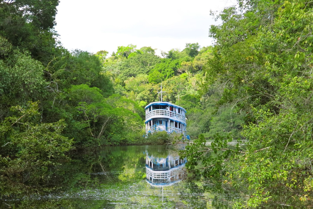 Amazonas - Brasil