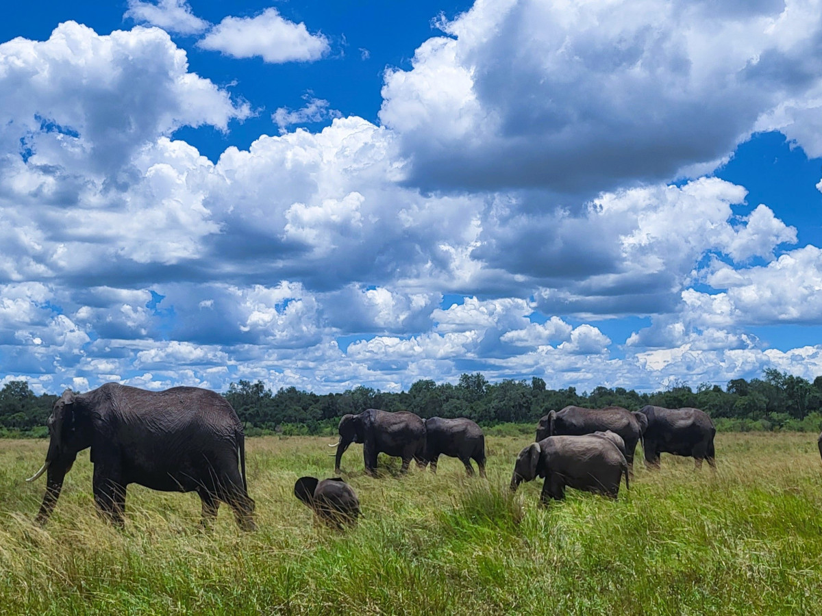 Kenya setter dype spor