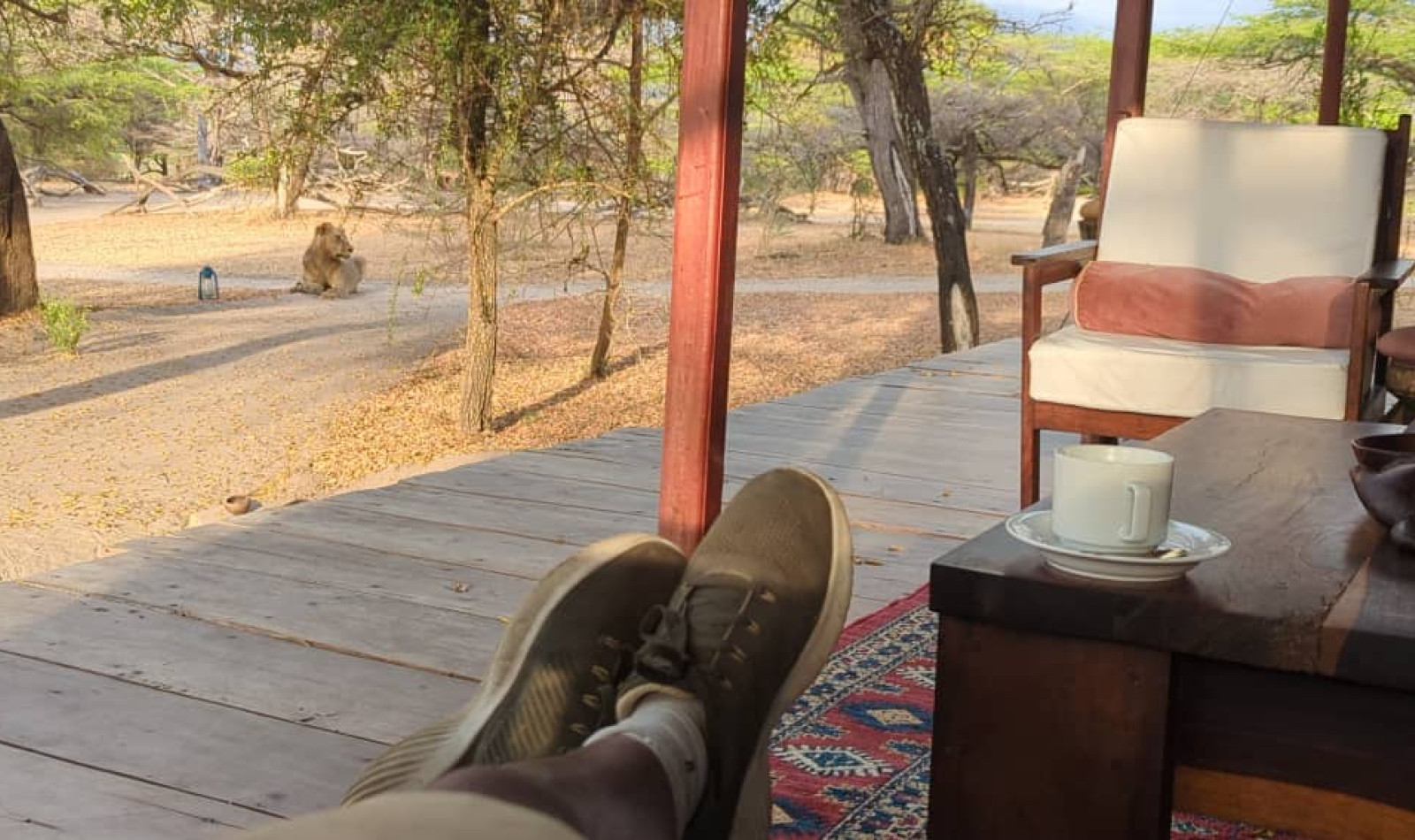 Forbindelser - Tanzania & Hadeland