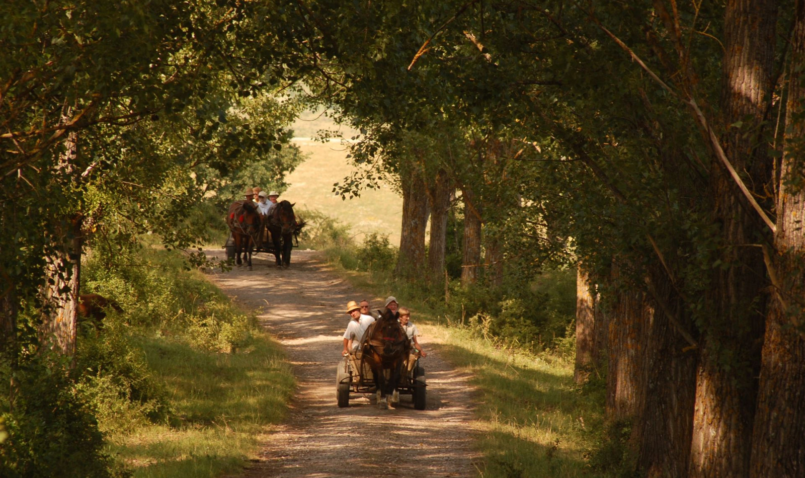 La'mme har publisert sin første Testreise