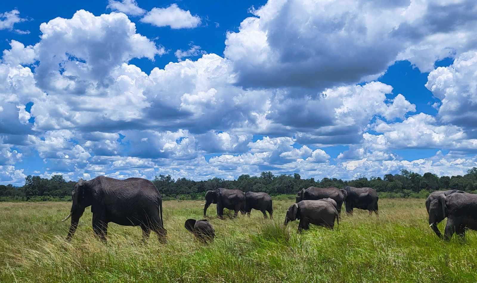 Kenya setter dype spor