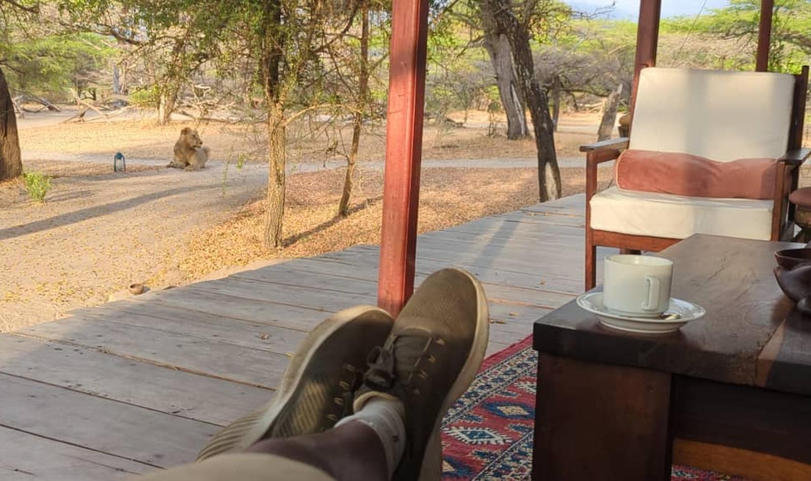 Forbindelser - Tanzania & Hadeland