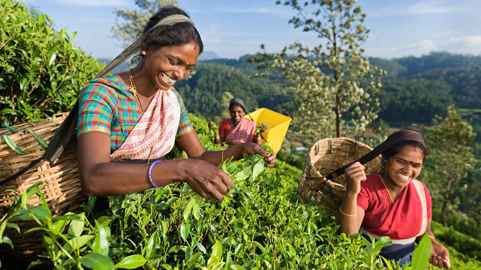 Sri Lanka