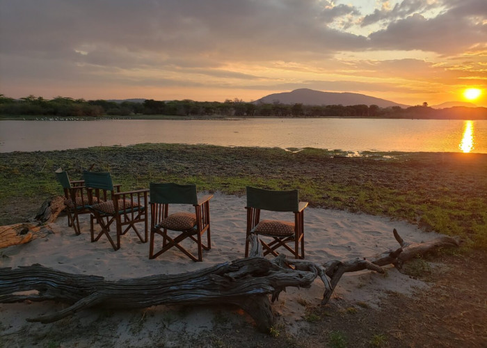 En dag i bushen – Makubi Safari Camp