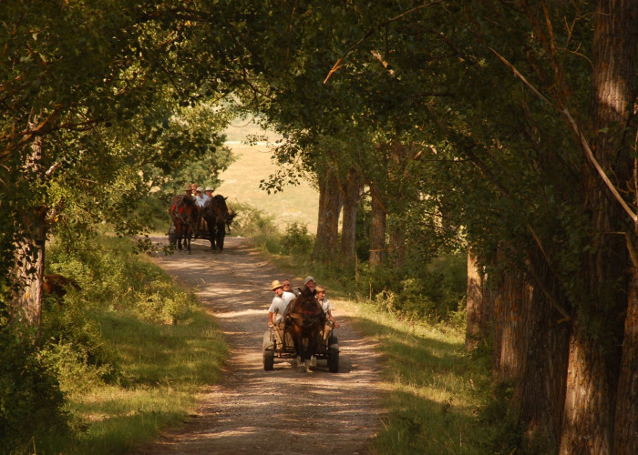La'mme har publisert sin første Testreise