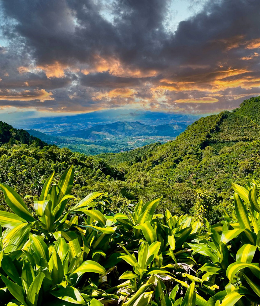 San Jose & Central Valley