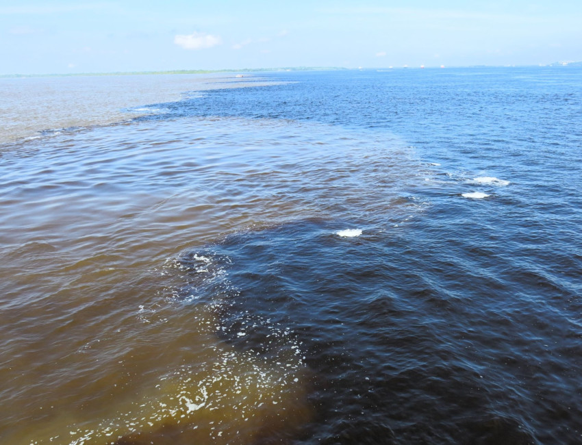 Der den brune Amazonas smelter sammen med den sorte - Brasil