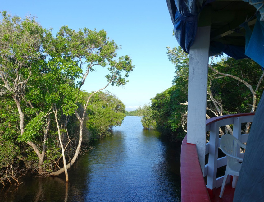 Tett på naturen i Amazonas - Brasil