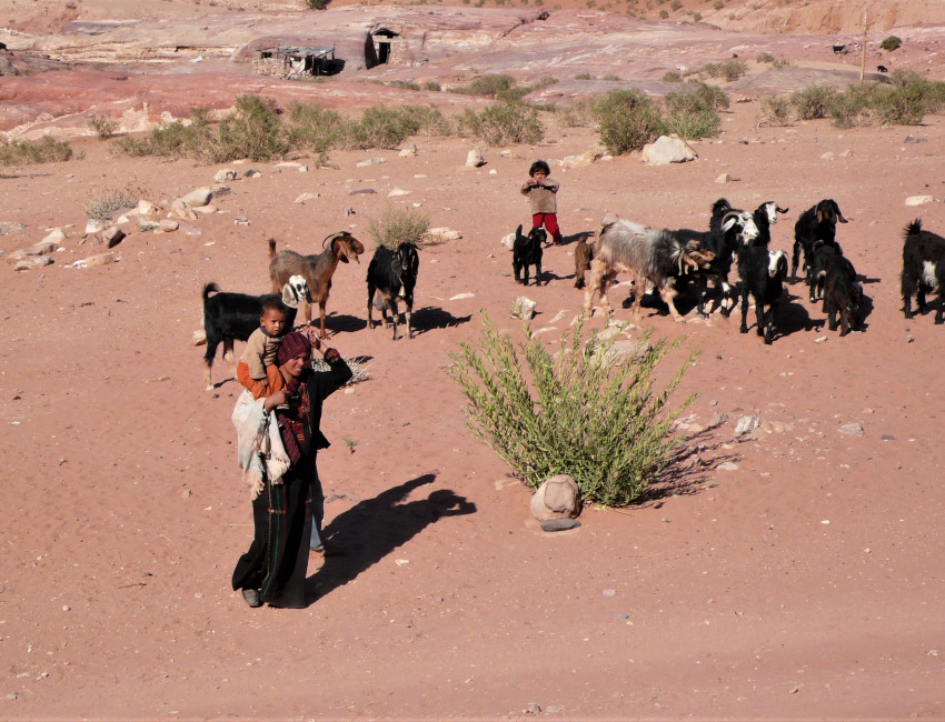 Beduinliv i Petra - Jordan