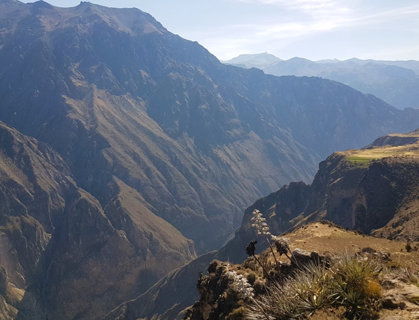 Colca Canyon - Peru