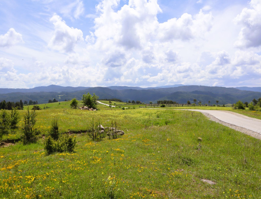 Rodopi-fjellene - Bulgaria