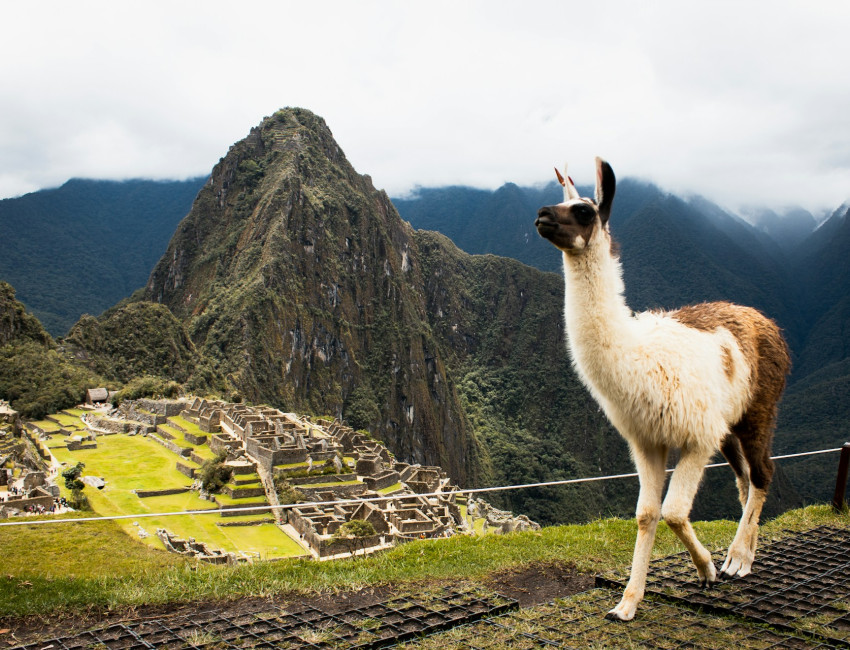 Bildet er tatt fra terrassene ovenfor Machu Picchu - Peru