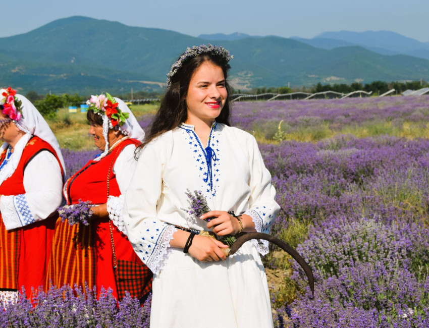 Sletter av lavender så langt øyet kan se - Bulgaria