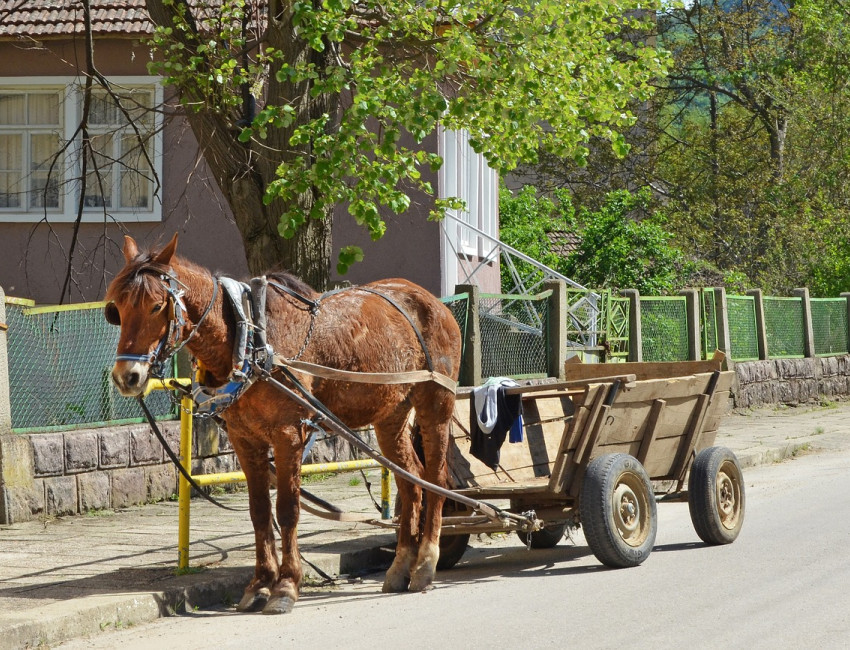 Hest og kjerre i en landsby i Bulgaria