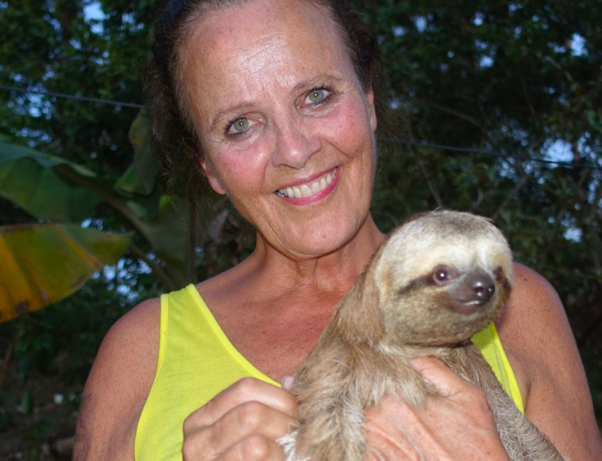 Besøk av dovendyr om bord på elvebåten - Amazonas - Brasil