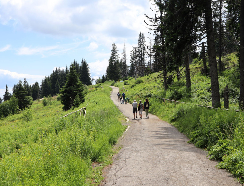 På vandring i Vitosha-fjellene, rett utenfor Sofia - Bulgaria