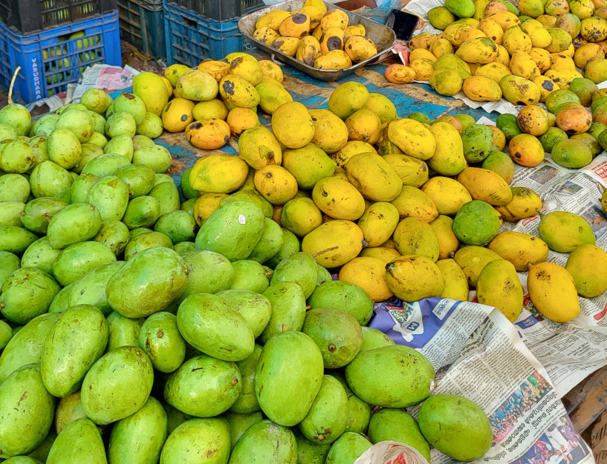 Markedet i Fort Kochi - Kerala