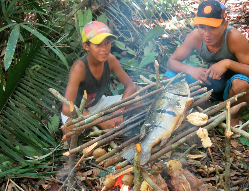 Fisk til lunsj på vandretur i Amazonasjungelen - Brasil